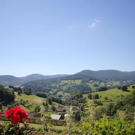 Semesterbostad Maison Familiale A Orbey, 3 Chambres, Parking Prive, Espace Vert, Jeux Pour Enfants - Fr-1-744-26 *