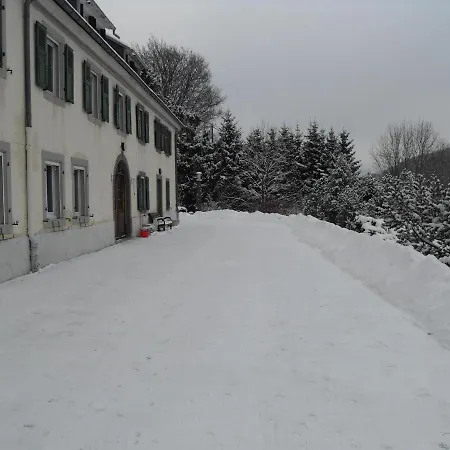 Maison Familiale A Orbey, 3 Chambres, Parking Prive, Espace Vert, Jeux Pour Enfants - Fr-1-744-26 * Orbey